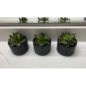 New Succulents Artificial Succulents in Ceramic Pots (3 Set) Realistic & Beautif